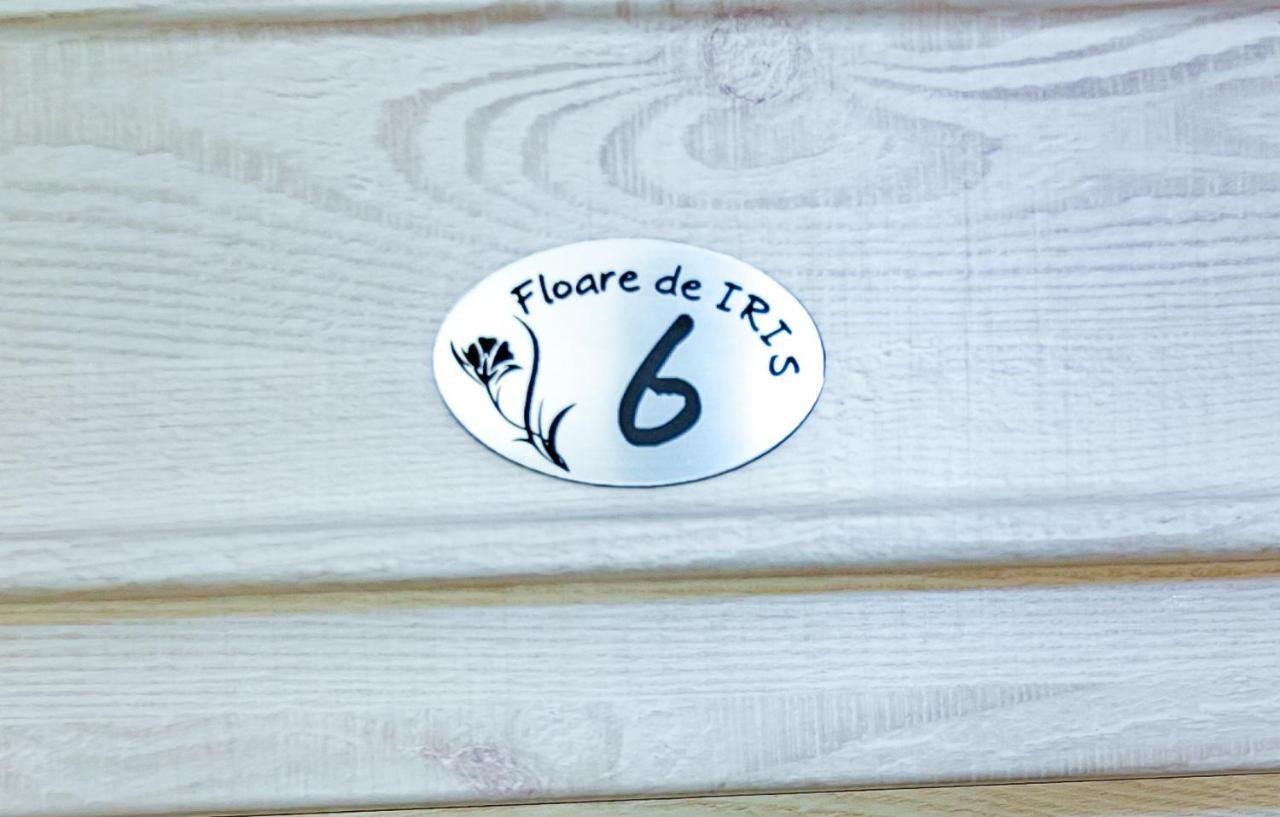 ホテル Floare De Iris ヴァマ・ヴェケ エクステリア 写真