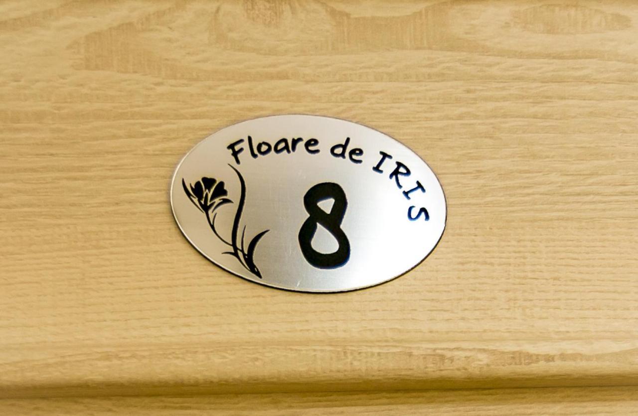ホテル Floare De Iris ヴァマ・ヴェケ エクステリア 写真