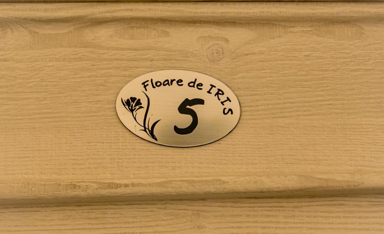 ホテル Floare De Iris ヴァマ・ヴェケ エクステリア 写真
